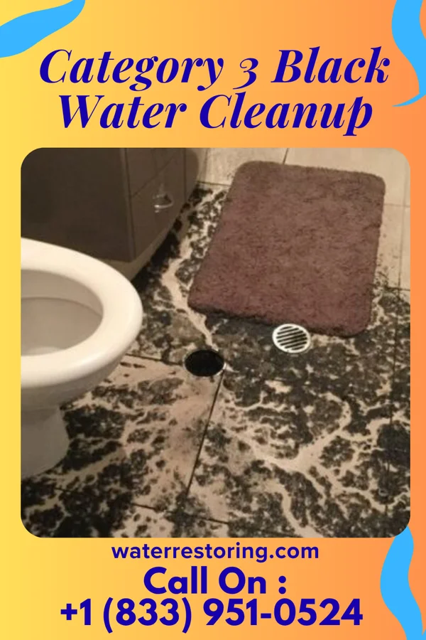 Category 3 Black Water Cleanup in Hamilton, NC