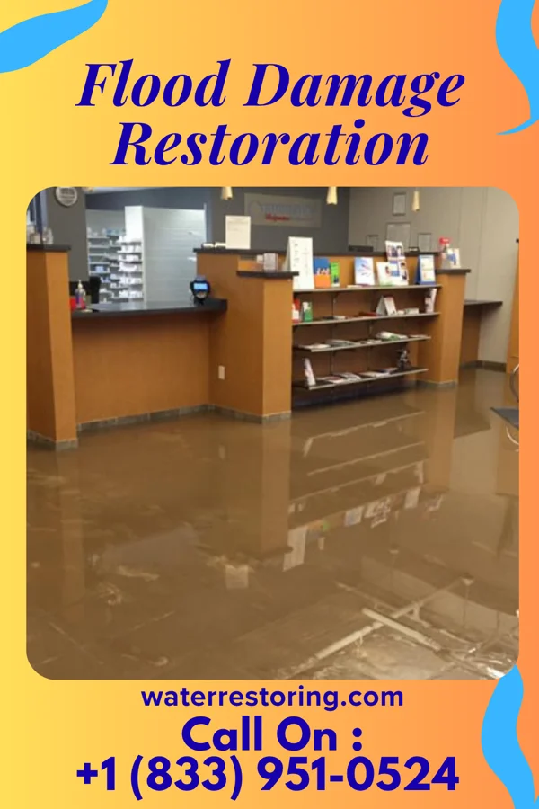 Flood Damage Restoration in Hamilton, NC